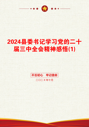 2024县委书记学习党的二十届三中全会精神感悟(1)