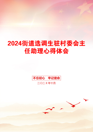 2024街道选调生驻村委会主任助理心得体会