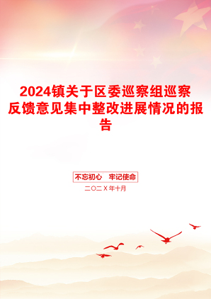 2024镇关于区委巡察组巡察反馈意见集中整改进展情况的报告