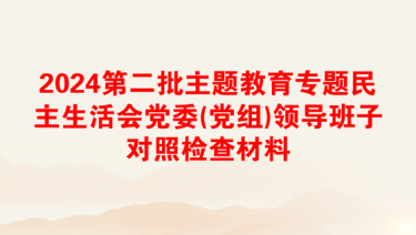 2024第二批主题教育专题民主生活会党委(党组)领导班子对照检查材料