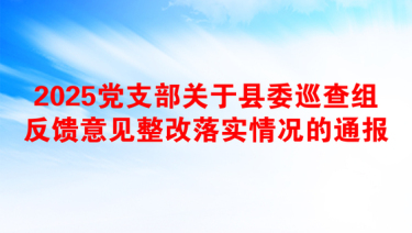 2025对党支部班子意见表