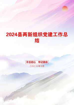 2024县两新组织党建工作总结