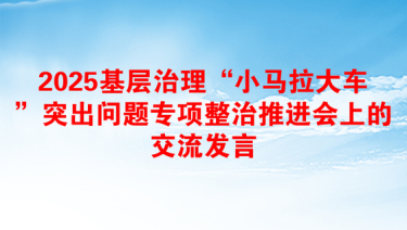 2025基层治理“小马拉大车”突出问题专项整治推进会上的交流发言