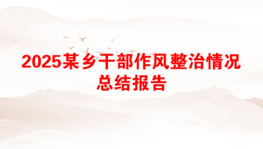 2025某乡干部作风整治情况总结报告