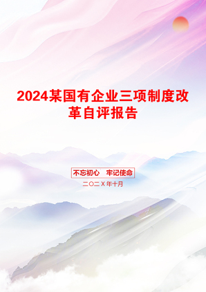 2024某国有企业三项制度改革自评报告