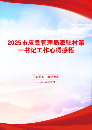 2025市应急管理局派驻村第一书记工作心得感悟