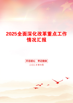 2025全面深化改革重点工作情况汇报