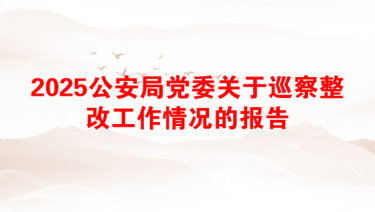 2025公安局党委关于巡察整改工作情况的报告