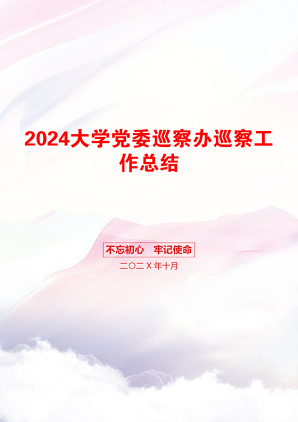 2024大学党委巡察办巡察工作总结