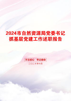 2024市自然资源局党委书记抓基层党建工作述职报告