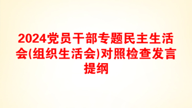 2024党员干部专题民主生活会(组织生活会)对照检查发言提纲