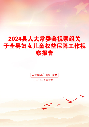 2024县人大常委会视察组关于全县妇女儿童权益保障工作视察报告