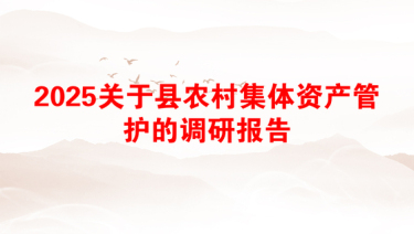 2025关于县农村集体资产管护的调研报告