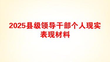 2025县级领导干部个人现实表现材料