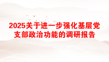 2025车间党支部政治功能的意见