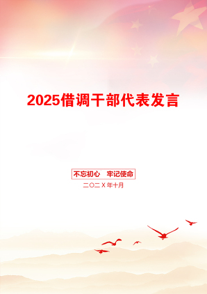 2025借调干部代表发言