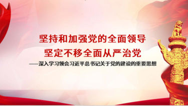 2024深入学习领会关于党的建设的重要思想党的全面领导全面从严治党党建、心得体会模板（PPT)党课ppt模板