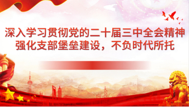 2024党课PPT_深入学习贯彻党的二十届三中全会精神，强化支部堡垒建设，不负时代所托党课ppt模板