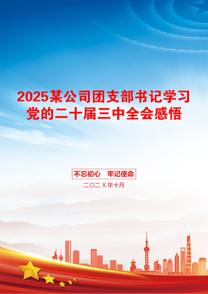 2025某公司团支部书记学习党的二十届三中全会感悟