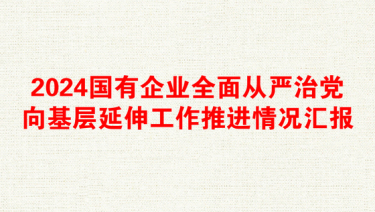 2025全面从严治党日常汇报材料