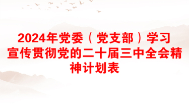 2024年党委（党支部）学习宣传贯彻党的二十届三中全会精神计划表