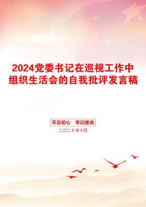 2024党委书记在巡视工作中组织生活会的自我批评发言稿