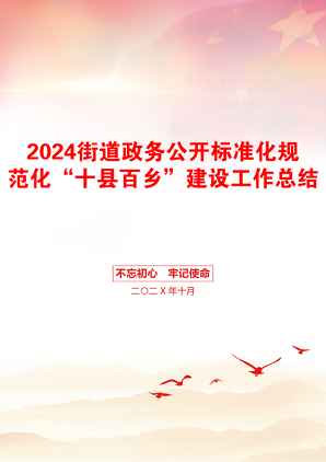 2024街道政务公开标准化规范化“十县百乡”建设工作总结