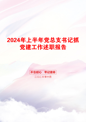 2024年上半年党总支书记抓党建工作述职报告