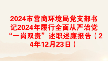 2025党支部从严治党总结