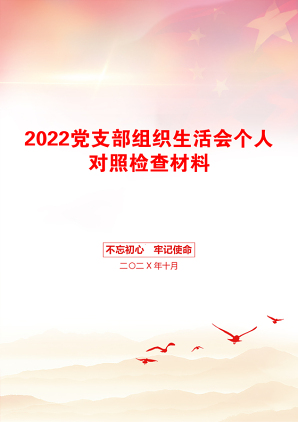 2022党支部组织生活会个人对照检查材料