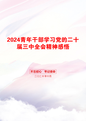 2024青年干部学习党的二十届三中全会精神感悟