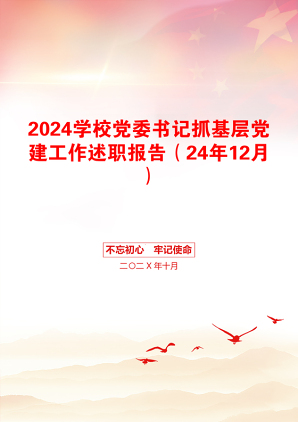 2024学校党委书记抓基层党建工作述职报告（24年12月）