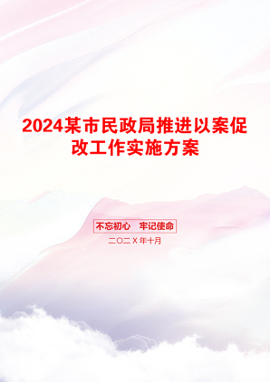 2024某市民政局推进以案促改工作实施方案