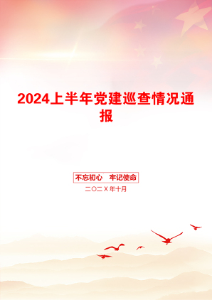 2024上半年党建巡查情况通报