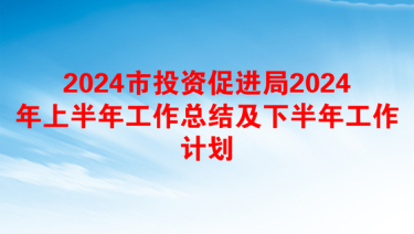 2024市投资促进局2024年上半年工作总结及下半年工作计划