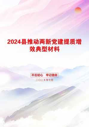 2024县推动两新党建提质增效典型材料