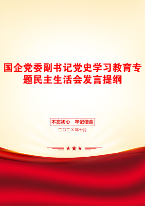 国企党委副书记党史学习教育专题民主生活会发言提纲