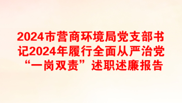 2024市营商环境局党支部书记2024年履行全面从严治党“一岗双责”述职述廉报告