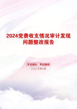 2024党费收支情况审计发现问题整改报告