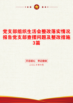 党支部组织生活会整改落实情况报告党支部查摆问题及整改措施3篇