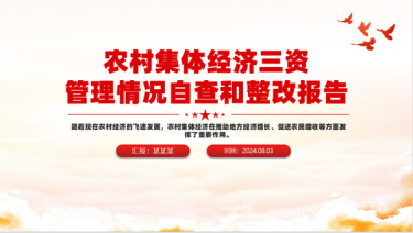 2024农村集体经济三资管理情况自查和整改报告（PPT课件）党课ppt模板