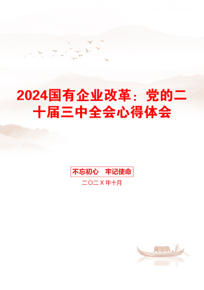 2024国有企业改革：党的二十届三中全会心得体会