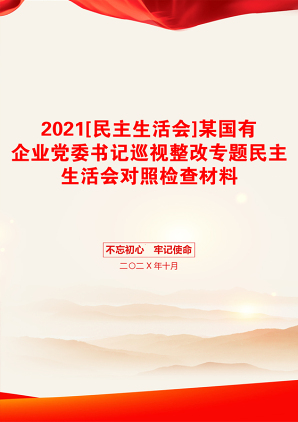 [民主生活会]某国有企业党委书记巡视整改专题民主生活会对照检查材料