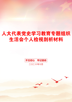 人大代表党史学习教育专题组织生活会个人检视剖析材料