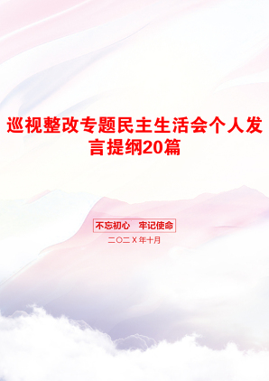 巡视整改专题民主生活会个人发言提纲20篇