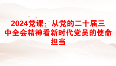 2025海丰红色革命党课材料