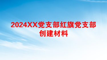 2024XX党支部红旗党支部创建材料