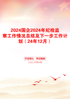 2024国企2024年纪检监察工作情况总结及下一步工作计划（24年12月）