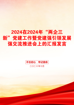 2024在2024年“两企三新”党建工作暨党建强引领发展强交流推进会上的汇报发言