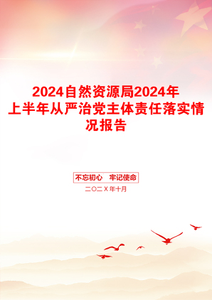 2024自然资源局2024年上半年从严治党主体责任落实情况报告